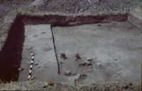 Cronica Cercetărilor Arheologice din România, Campania 2003. Raportul nr. 177
