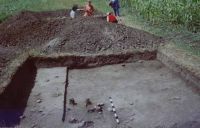 Cronica Cercetărilor Arheologice din România, Campania 2003. Raportul nr. 177