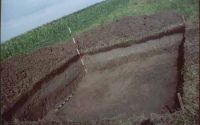 Cronica Cercetărilor Arheologice din România, Campania 2003. Raportul nr. 177