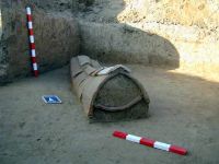 Cronica Cercetărilor Arheologice din România, Campania 2003. Raportul nr. 178