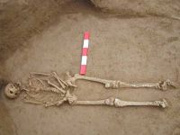 Cronica Cercetărilor Arheologice din România, Campania 2003. Raportul nr. 178