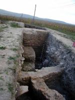 Cronica Cercetărilor Arheologice din România, Campania 2003. Raportul nr. 178