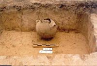 Cronica Cercetărilor Arheologice din România, Campania 2003. Raportul nr. 180