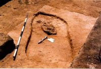 Cronica Cercetărilor Arheologice din România, Campania 2003. Raportul nr. 180
