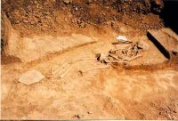 Cronica Cercetărilor Arheologice din România, Campania 2003. Raportul nr. 180