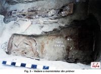 Cronica Cercetărilor Arheologice din România, Campania 2003. Raportul nr. 186