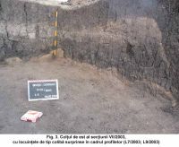 Cronica Cercetărilor Arheologice din România, Campania 2003. Raportul nr. 187