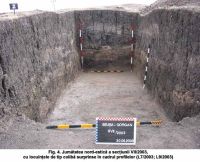 Cronica Cercetărilor Arheologice din România, Campania 2003. Raportul nr. 187