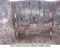 Cronica Cercetărilor Arheologice din România, Campania 2003. Raportul nr. 187