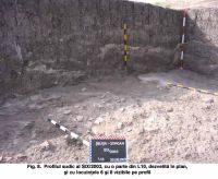 Cronica Cercetărilor Arheologice din România, Campania 2003. Raportul nr. 187