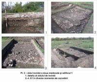 Cronica Cercetărilor Arheologice din România, Campania 2003. Raportul nr. 194