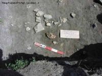 Cronica Cercetărilor Arheologice din România, Campania 2003. Raportul nr. 195