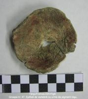 Cronica Cercetărilor Arheologice din România, Campania 2003. Raportul nr. 195