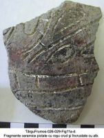 Cronica Cercetărilor Arheologice din România, Campania 2003. Raportul nr. 195