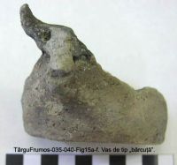 Cronica Cercetărilor Arheologice din România, Campania 2003. Raportul nr. 195