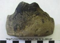 Cronica Cercetărilor Arheologice din România, Campania 2003. Raportul nr. 195