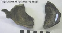 Cronica Cercetărilor Arheologice din România, Campania 2003. Raportul nr. 195