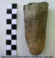 Cronica Cercetărilor Arheologice din România, Campania 2003. Raportul nr. 195