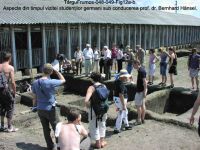 Cronica Cercetărilor Arheologice din România, Campania 2003. Raportul nr. 195