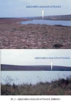 Cronica Cercetărilor Arheologice din România, Campania 2003. Raportul nr. 203