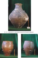 Cronica Cercetărilor Arheologice din România, Campania 2003. Raportul nr. 203
