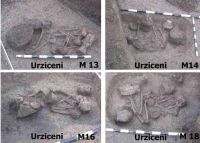 Cronica Cercetărilor Arheologice din România, Campania 2003. Raportul nr. 204