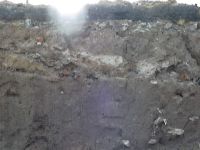 Cronica Cercetărilor Arheologice din România, Campania 2003. Raportul nr. 207