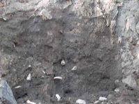 Cronica Cercetărilor Arheologice din România, Campania 2003. Raportul nr. 207