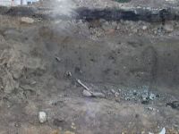 Cronica Cercetărilor Arheologice din România, Campania 2003. Raportul nr. 207