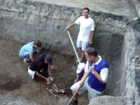 Cronica Cercetărilor Arheologice din România, Campania 2003. Raportul nr. 207