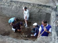 Cronica Cercetărilor Arheologice din România, Campania 2003. Raportul nr. 207