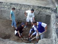 Cronica Cercetărilor Arheologice din România, Campania 2003. Raportul nr. 207