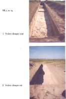 Cronica Cercetărilor Arheologice din România, Campania 2003. Raportul nr. 211