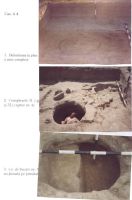 Cronica Cercetărilor Arheologice din România, Campania 2003. Raportul nr. 211