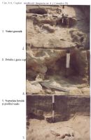 Cronica Cercetărilor Arheologice din România, Campania 2003. Raportul nr. 211