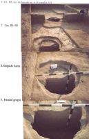 Cronica Cercetărilor Arheologice din România, Campania 2003. Raportul nr. 211