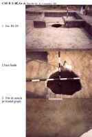 Cronica Cercetărilor Arheologice din România, Campania 2003. Raportul nr. 211