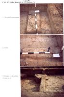 Cronica Cercetărilor Arheologice din România, Campania 2003. Raportul nr. 211