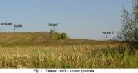 Cronica Cercetărilor Arheologice din România, Campania 2003. Raportul nr. 215
