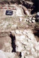 Cronica Cercetărilor Arheologice din România, Campania 2004. Raportul nr. 1