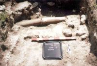 Cronica Cercetărilor Arheologice din România, Campania 2004. Raportul nr. 1