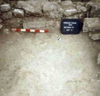Cronica Cercetărilor Arheologice din România, Campania 2004. Raportul nr. 1