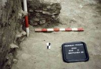 Cronica Cercetărilor Arheologice din România, Campania 2004. Raportul nr. 1