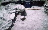 Cronica Cercetărilor Arheologice din România, Campania 2004. Raportul nr. 1