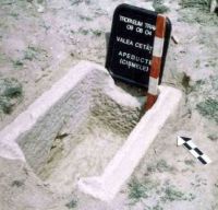 Cronica Cercetărilor Arheologice din România, Campania 2004. Raportul nr. 1