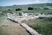 Cronica Cercetărilor Arheologice din România, Campania 2004. Raportul nr. 1