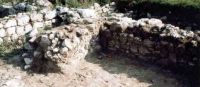 Cronica Cercetărilor Arheologice din România, Campania 2004. Raportul nr. 1