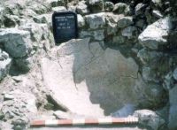 Cronica Cercetărilor Arheologice din România, Campania 2004. Raportul nr. 1