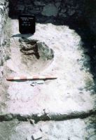 Cronica Cercetărilor Arheologice din România, Campania 2004. Raportul nr. 1