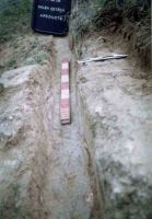 Cronica Cercetărilor Arheologice din România, Campania 2004. Raportul nr. 1